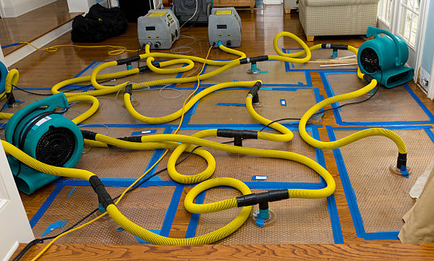 Professional Crawl Space Water Removal technician working in Beryl, UT